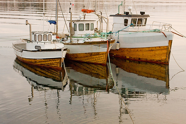 the three little boats