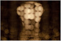 Light as subject