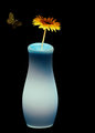 Inner light