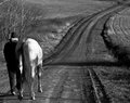 Long, Long Way From Home