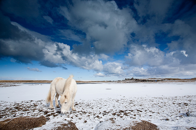 Alone in the wilderness