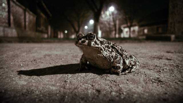 lonely