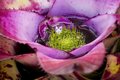 Garden Teacup