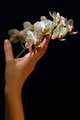 Delicate care