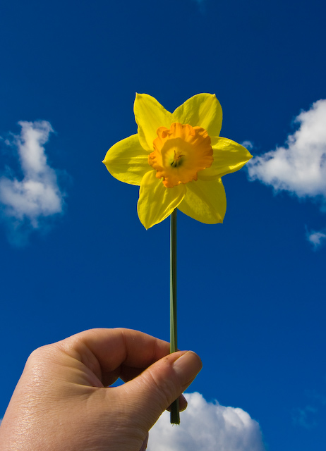 Spring Arrives in Leicestershire