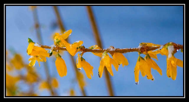 Spring Too Soon?