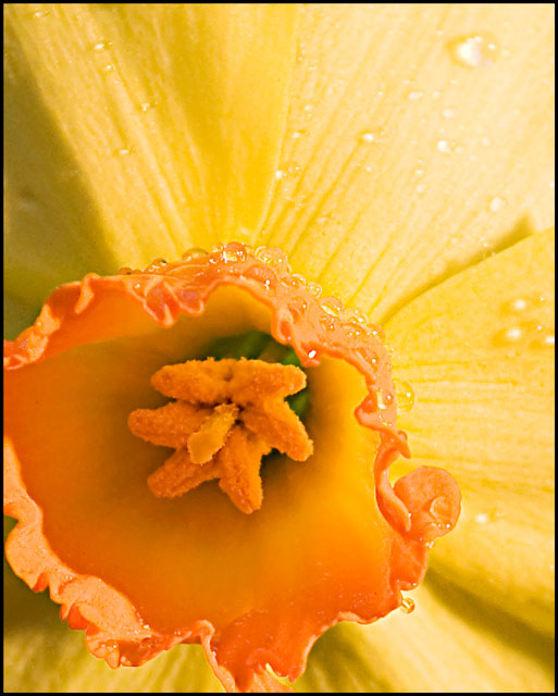 After the rain