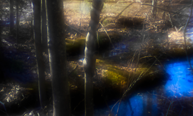 tanglewood