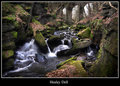 Healey Dell