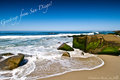 Windansea Beach, San Diego, CA