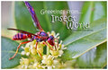 Greetings from... Insect World