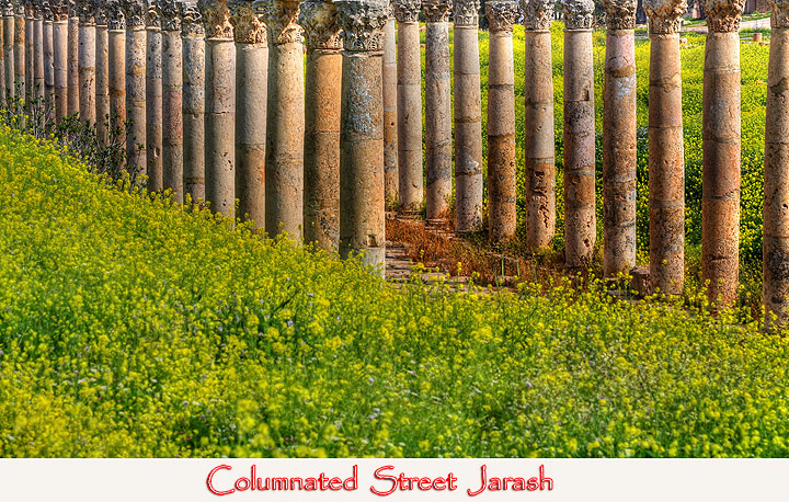 Columnated Street Jarash