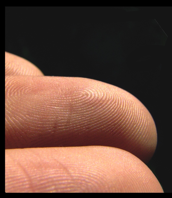 Texture ID