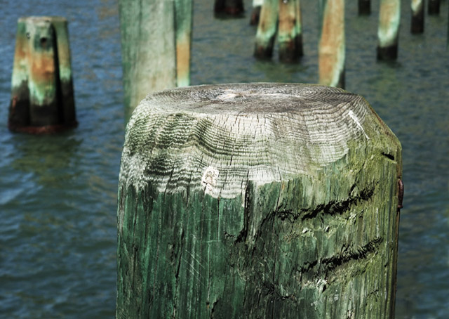 Pilings