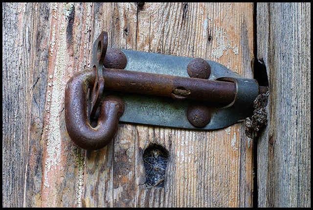 The old shed door