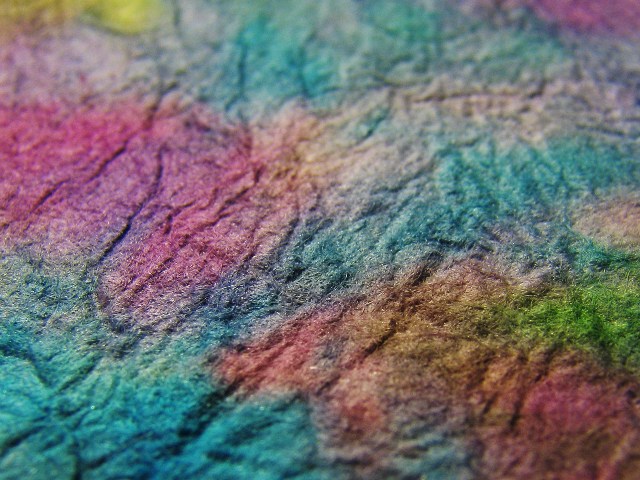drenched in color