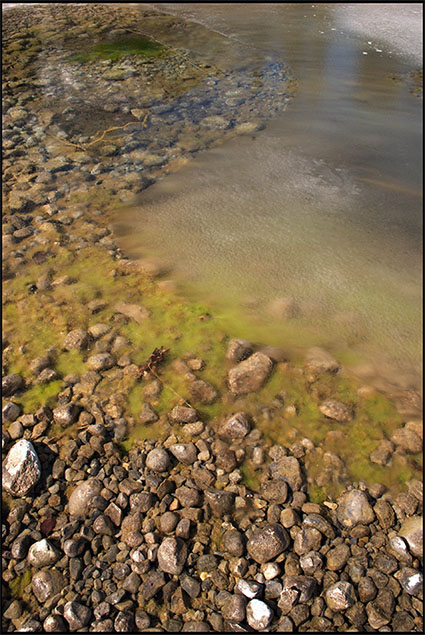 Magic Pond