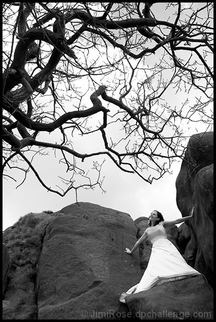 The Adventurous Bride