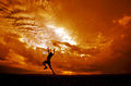 Wings of Fire