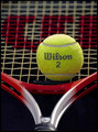 Wilson 2