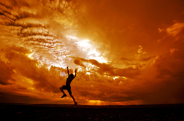Wings of Fire