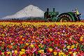 Field of Dreams