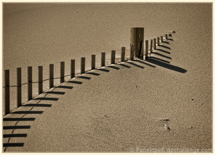 Dune Fence at Winter's End
