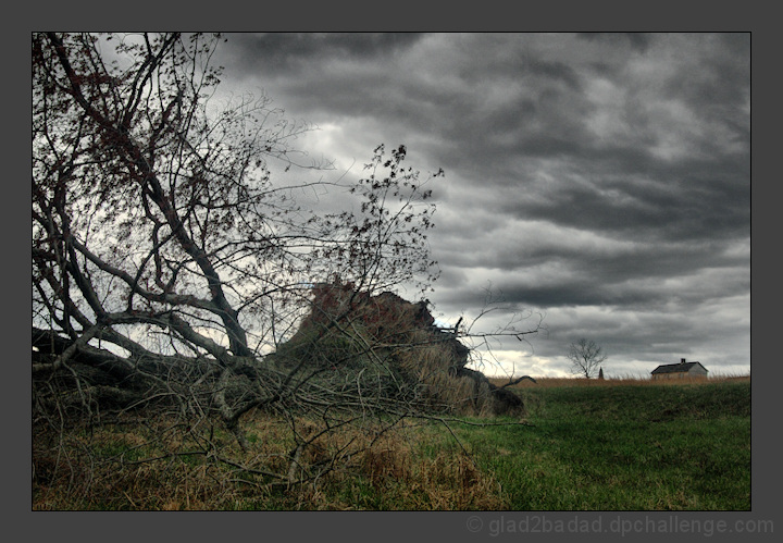 April 3rd Wind Storm