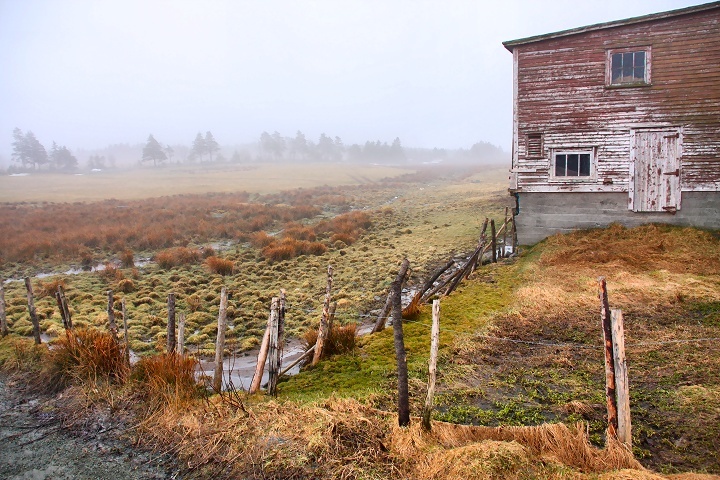 Fog on the Farm