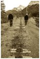 rail walk