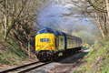 Diesel Deltic