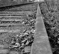 A Road Less Traveled