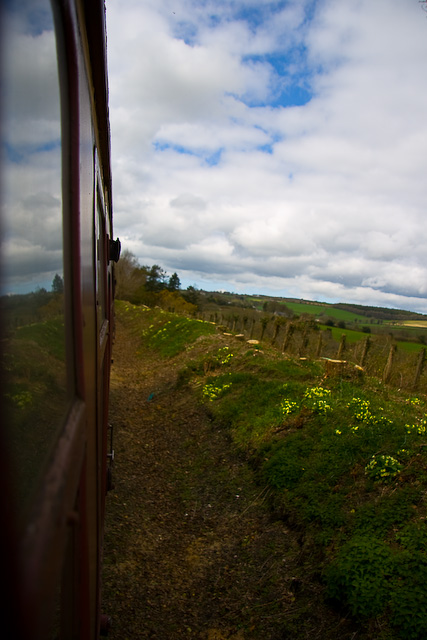 A Reflective Train Journey