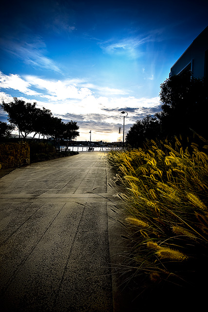 Afternoon Boardwalk