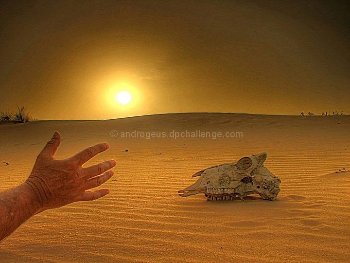 Lost in the Desert