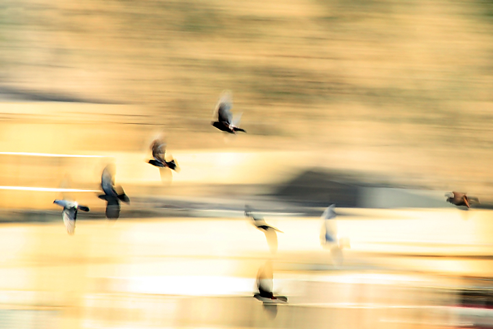 Flying at low shutter speed