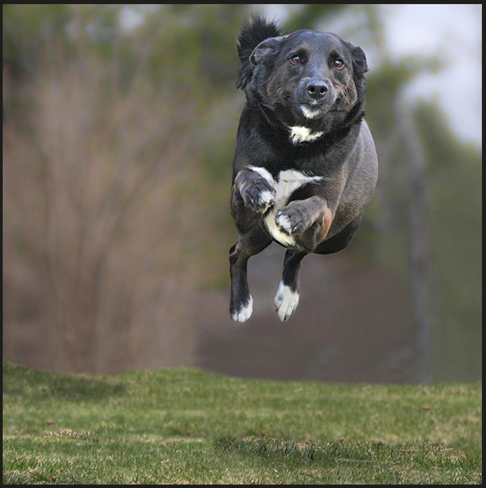 Airborne