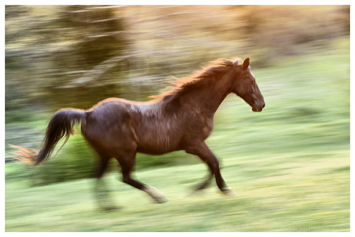 . . . like the wind