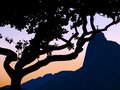 The Redeemer Tree