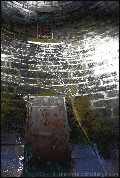stabilized ruin