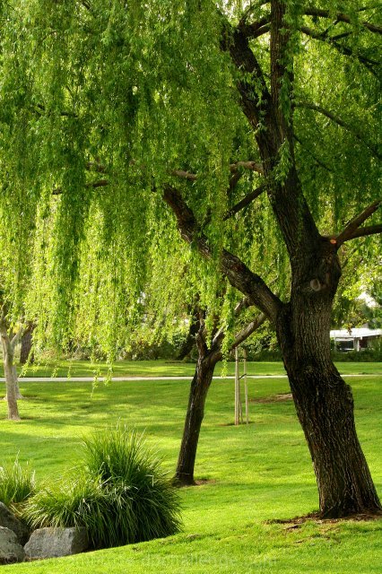 A picnic spot