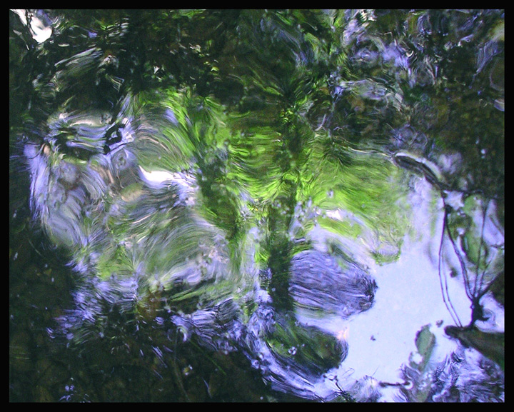 Canopy Reflected