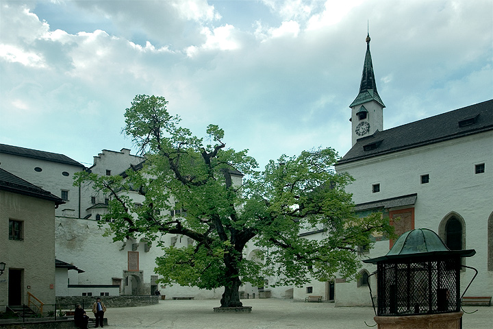 Watcher at the courtyard