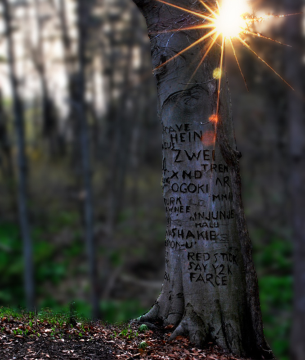 The Haunted Tree