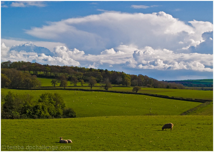 Pastural