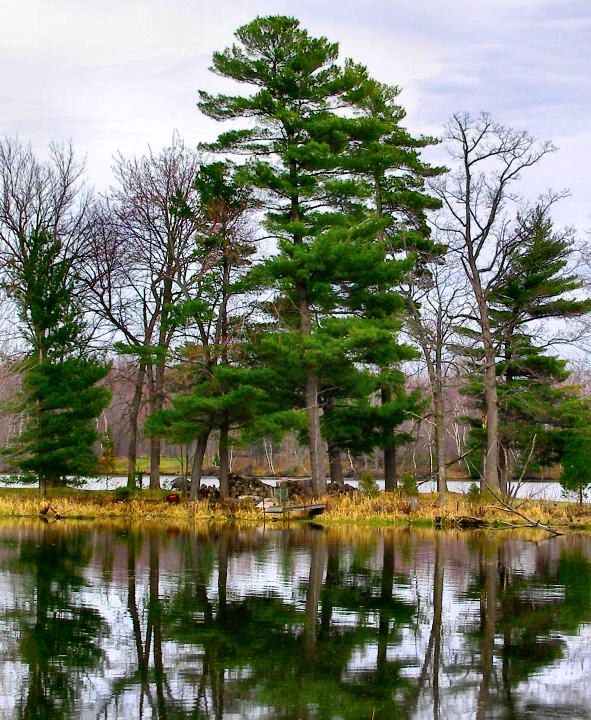 Between The Seasons Greens and Golds