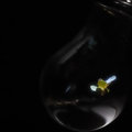 Outgrowing Incandescent