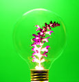 Green Energy