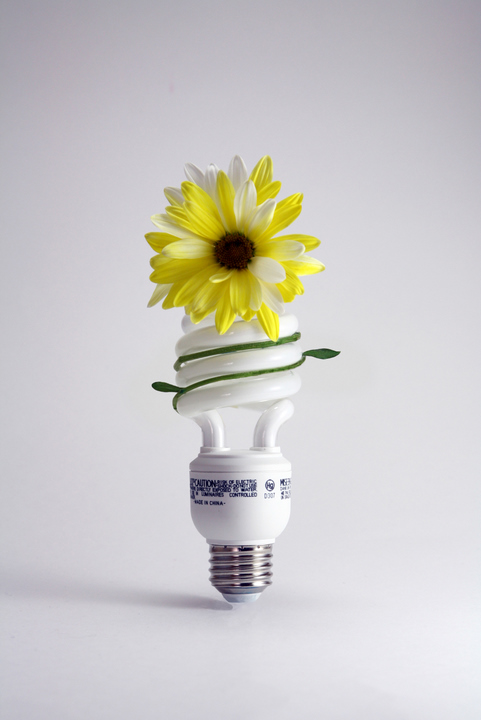 A Green Idea