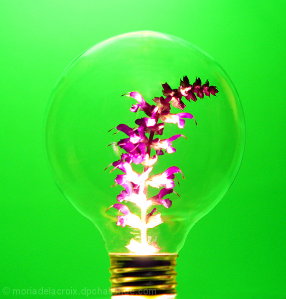 Green Energy